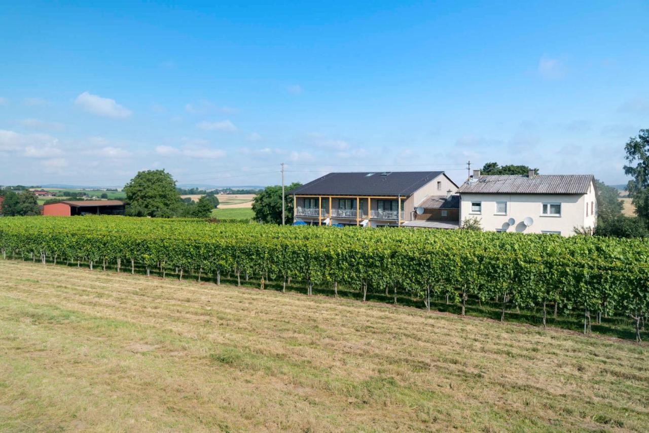 Winzerhof Schmid Apartment Schwaigern Ngoại thất bức ảnh